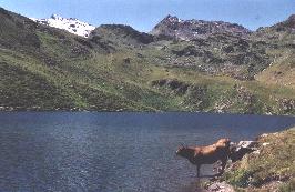 un lac parmis tant d'autres